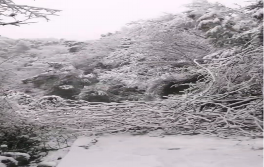 戰(zhàn)暴雪、保供電！湖南發(fā)展鳥兒巢公司應對極端天氣緊急搶修失電故障